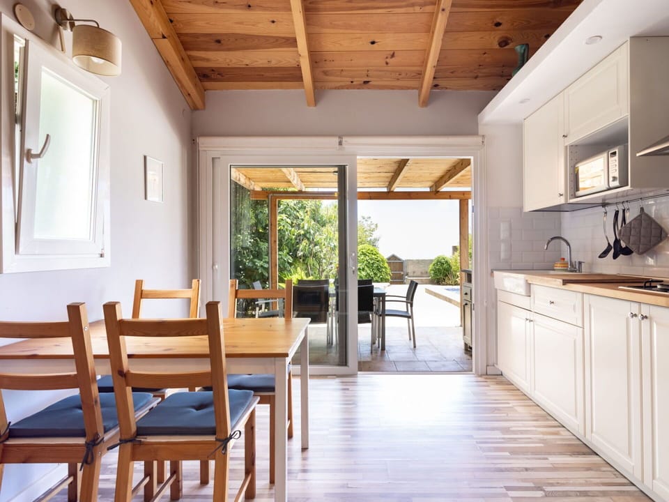 Furniture, Cabinetry, Countertop, Plant, Chair, Wood, Kitchen Appliance, Building, Interior Design, Kitchen Sink
