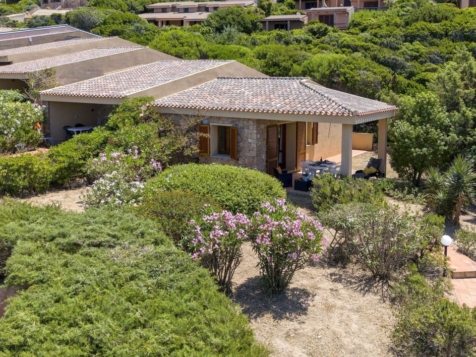 Plant, Property, Plant Community, Window, Building, Tree, Vegetation, House, Biome, Flower