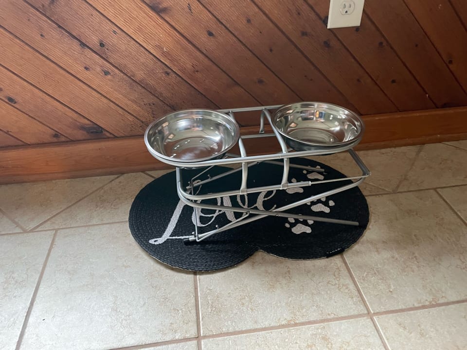 Adjustable dog bowl
