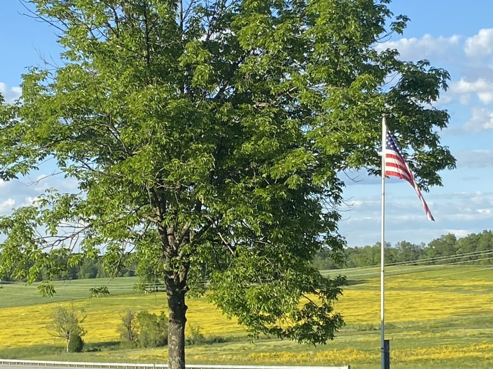 Nearby rural scenery 