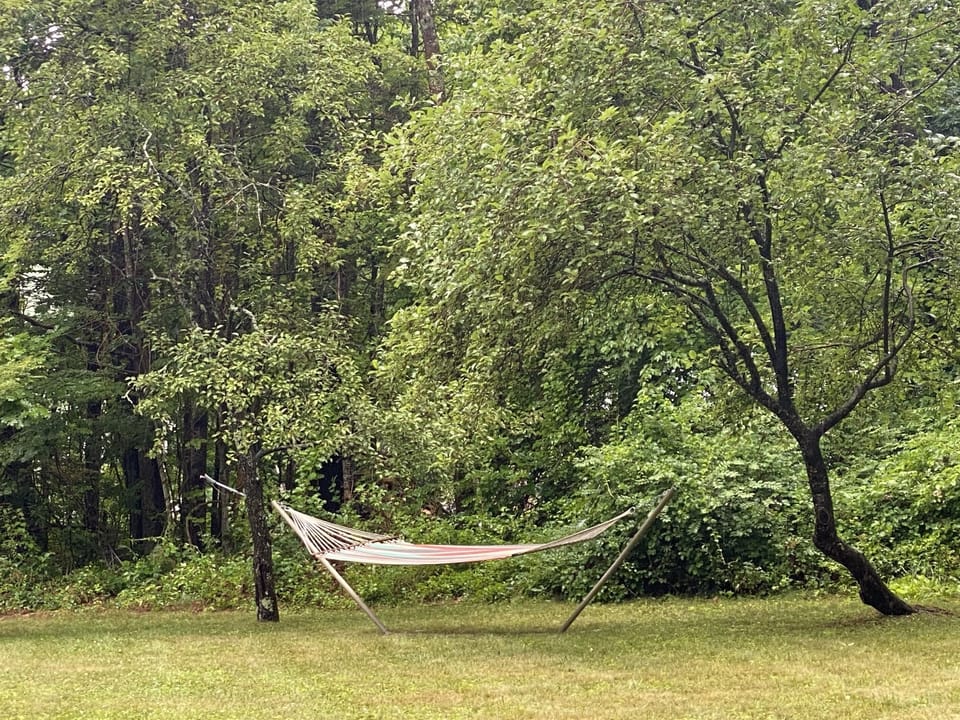 Hammock