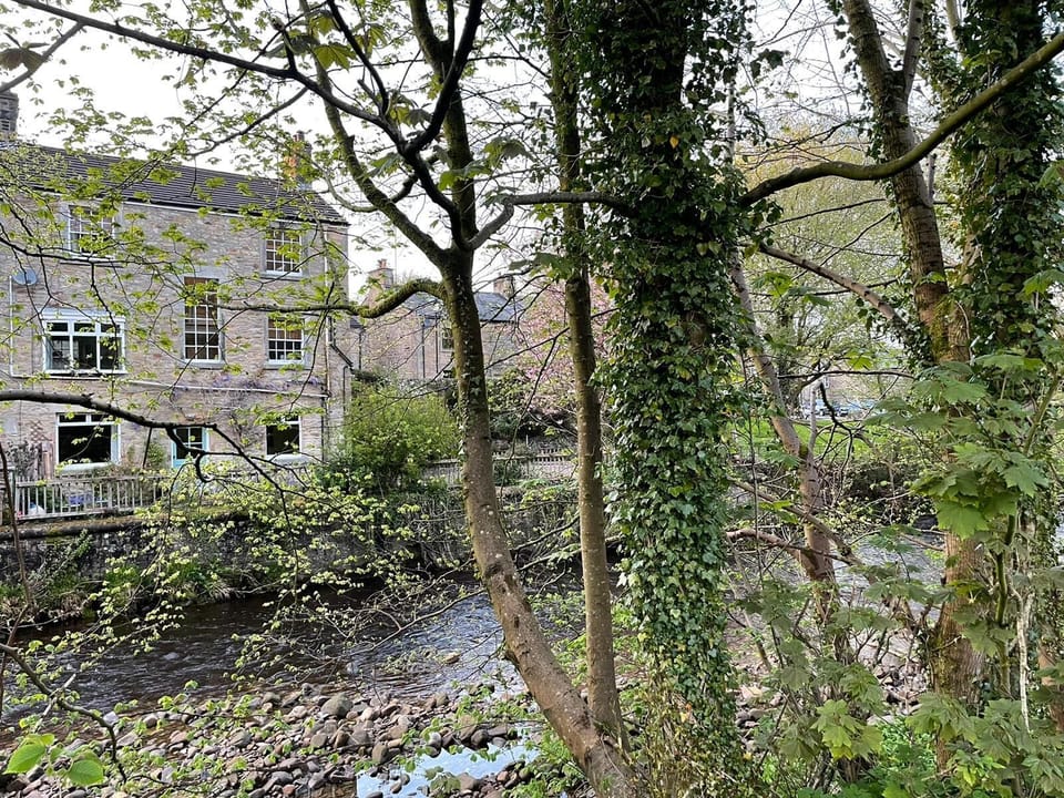 The Riverside Tailor’s Cottage from the wooded far bank of the Roeburn 