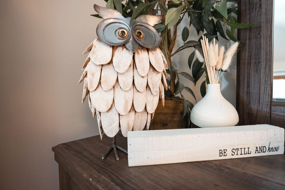 Bed 1 | Dresser Storage