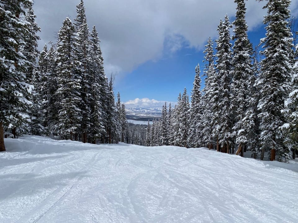 Spectacular ski runs throughout the 5 main wilderness areas. 
