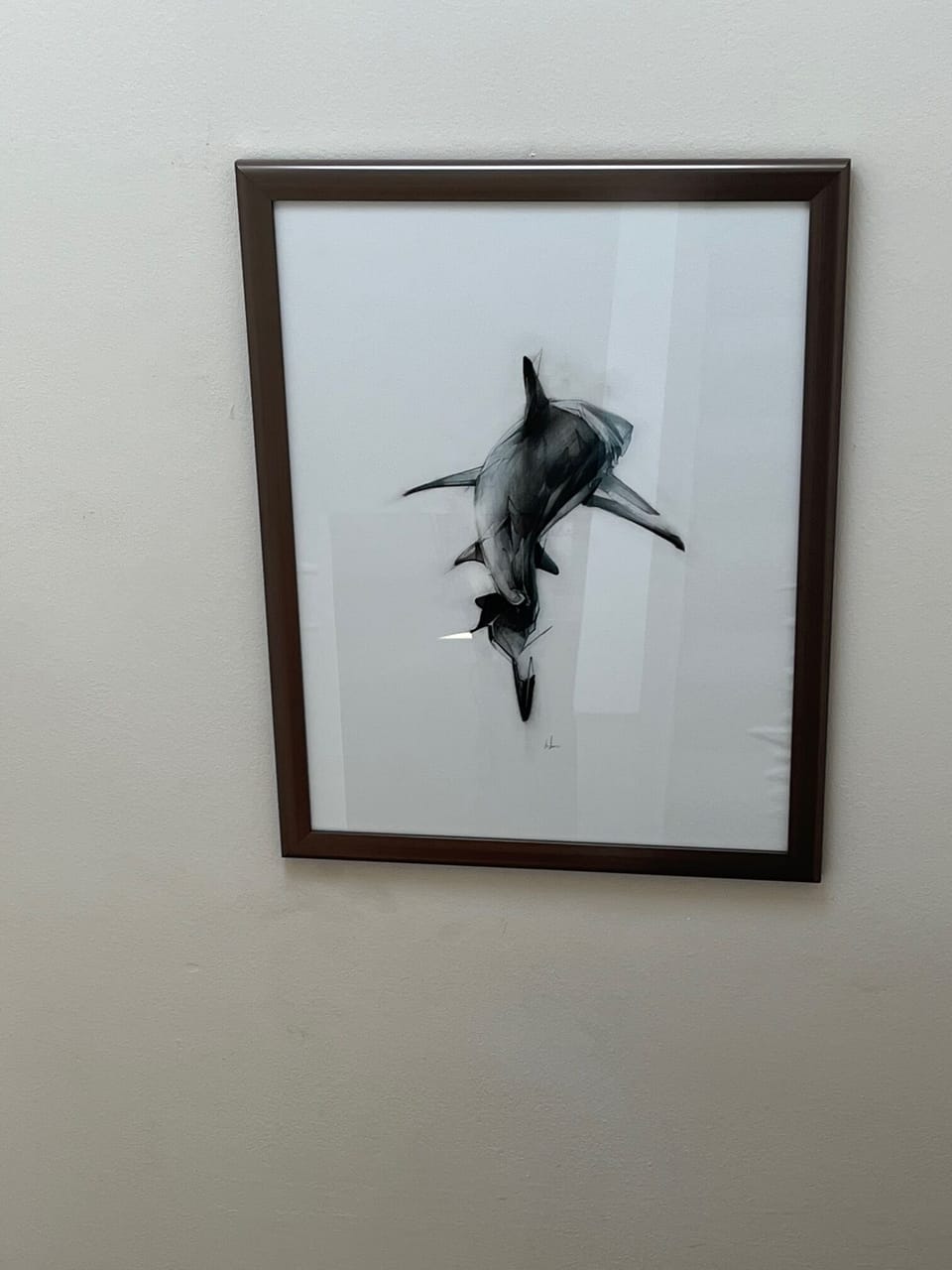 Welcome to Shark Junction.  I know you will enjoy your stay!