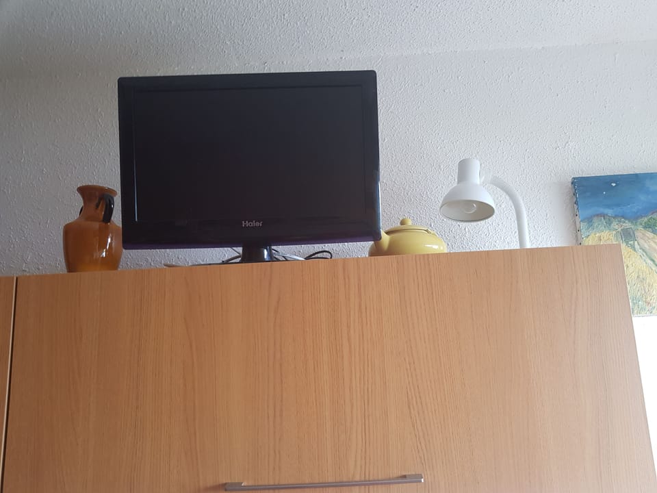 Television