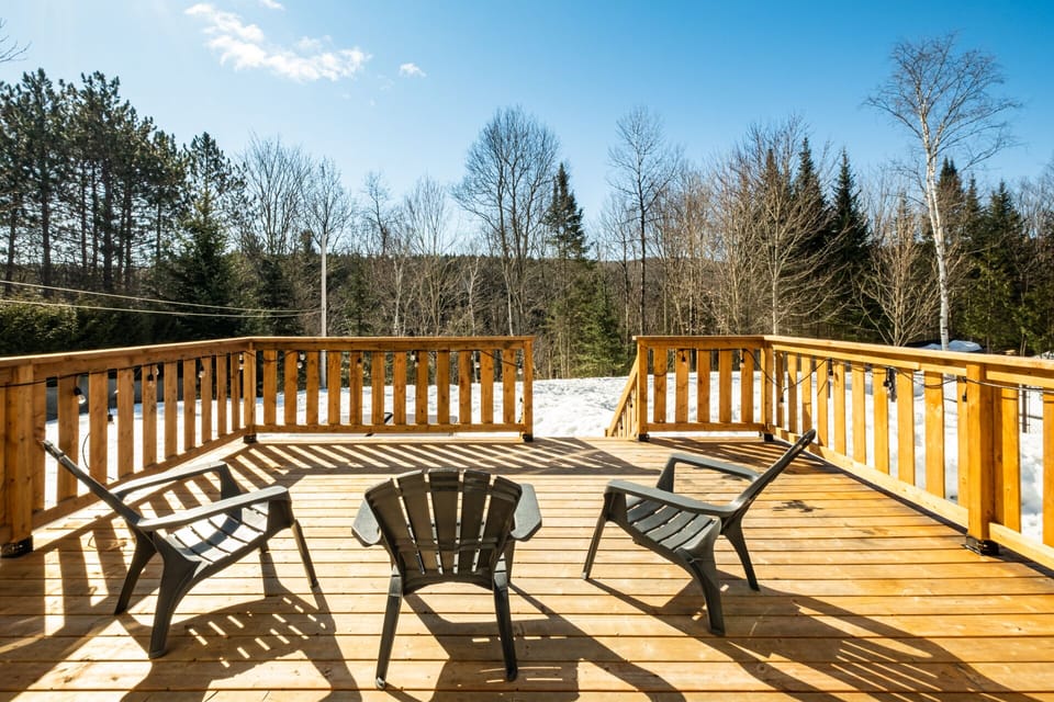 The patio and backyard. 