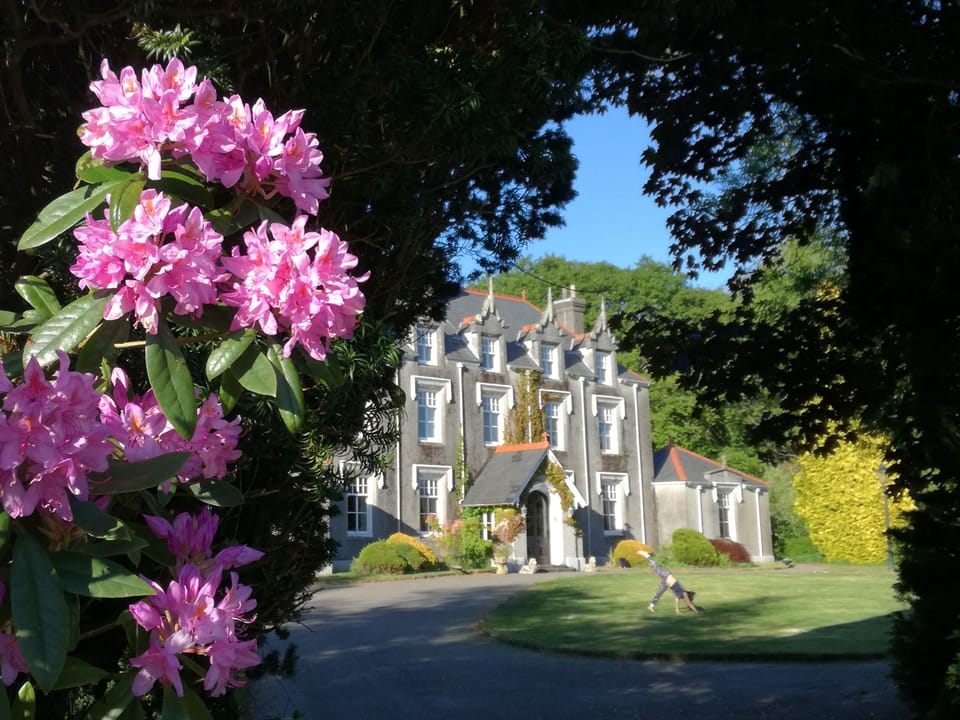 Plas Cilybebyll Lawns