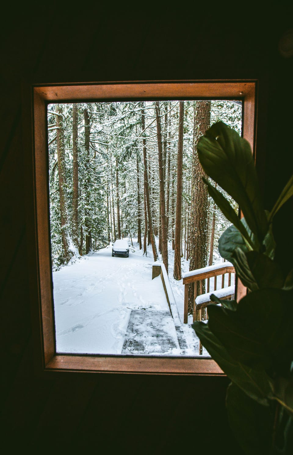 Beautiful dusting of snow out the living room window. 