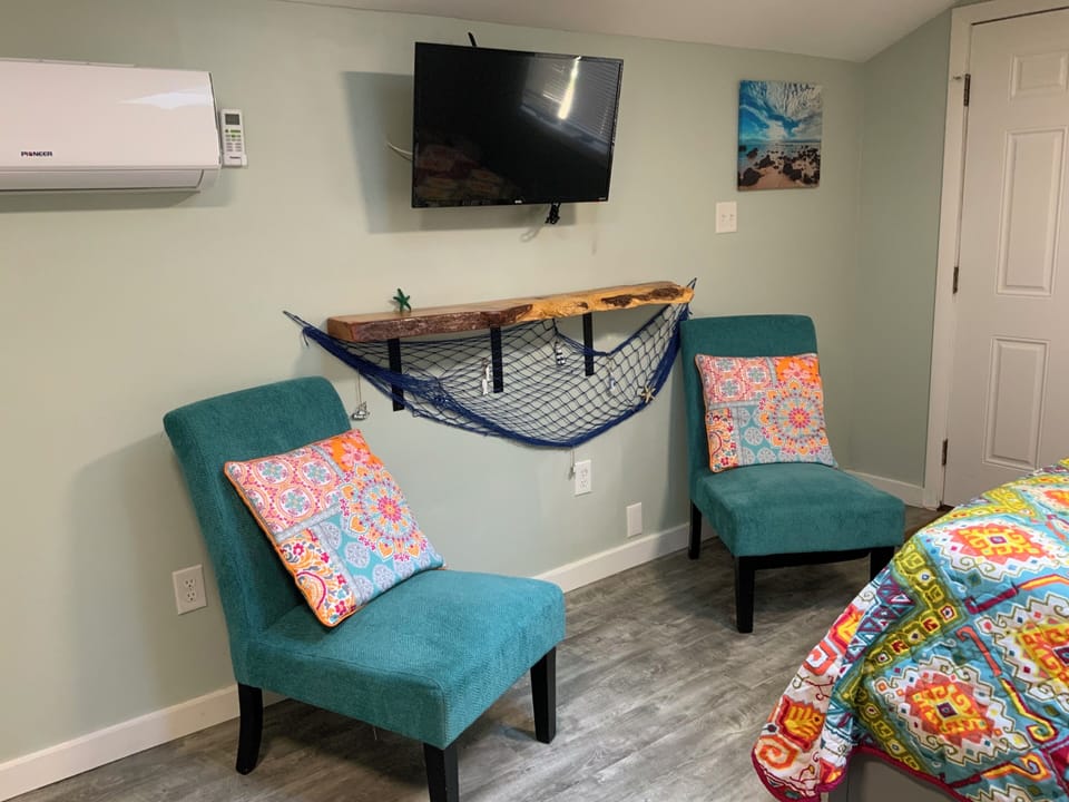 Smart TV, efficient mini split for A/C and heat