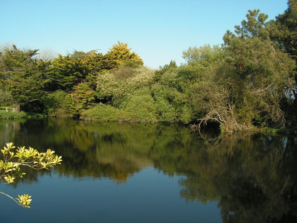 Lake