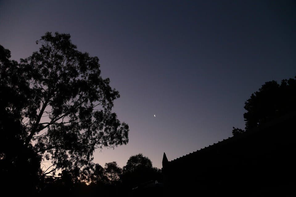 Stargazing at night...