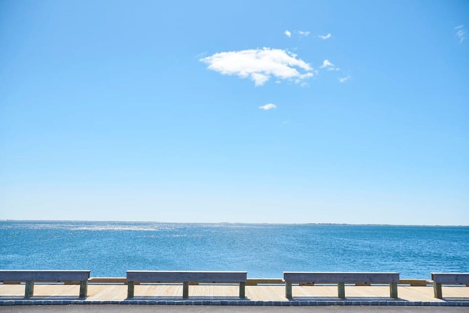 The Great South Bay. 