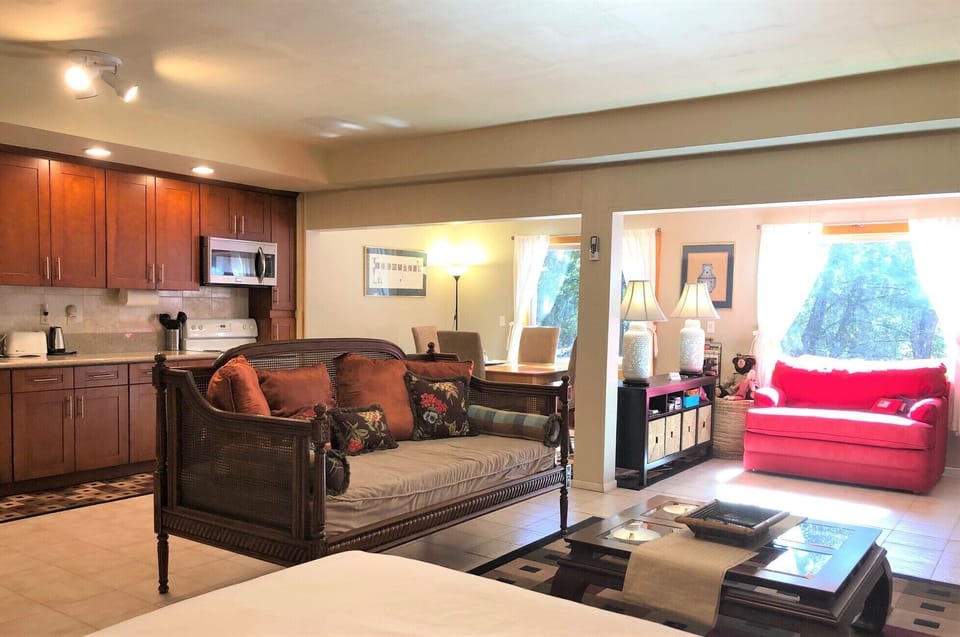 Back view and the windows