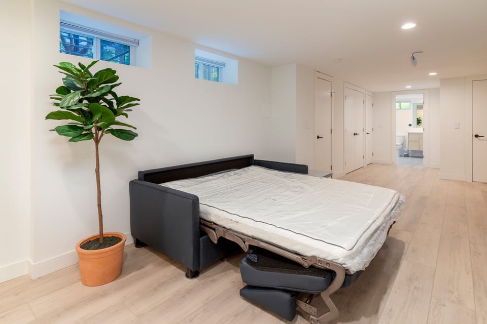 Sleeper sofa 