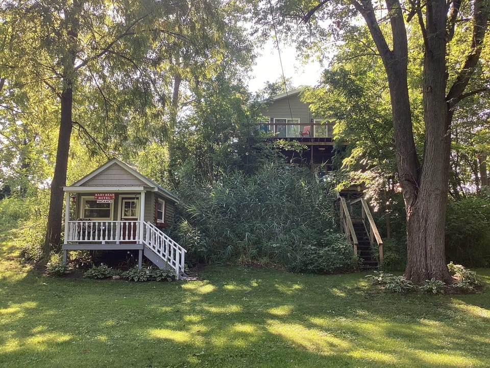 Back yard area.