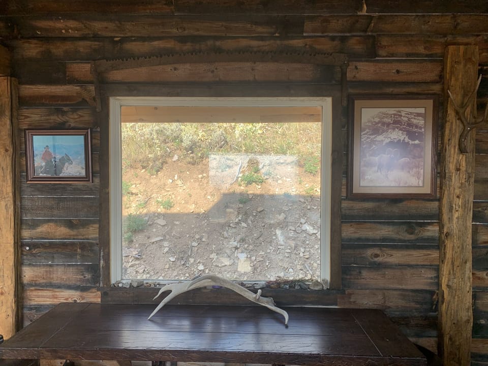 Big dinning table with a elk horn found on the property