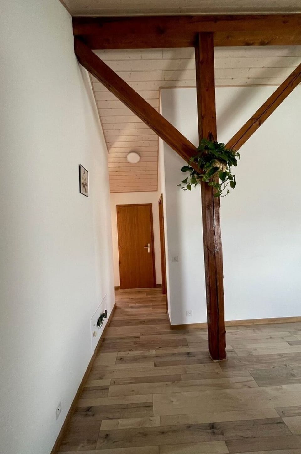 Flooring, Floor, Wood Flooring, Wood, Ceiling, Interior Design, Hardwood, Laminate Flooring, Wood Stain, Plank