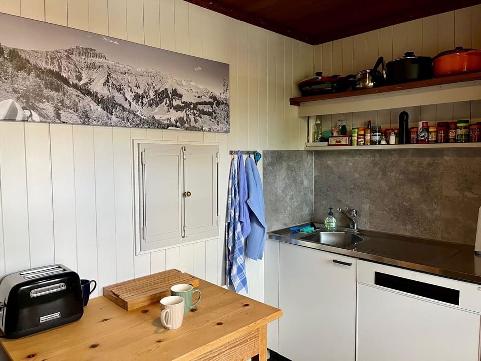Cabinetry, Property, Furniture, Kitchen Sink, Countertop, Building, Wood, Interior Design, Kitchen, Architecture