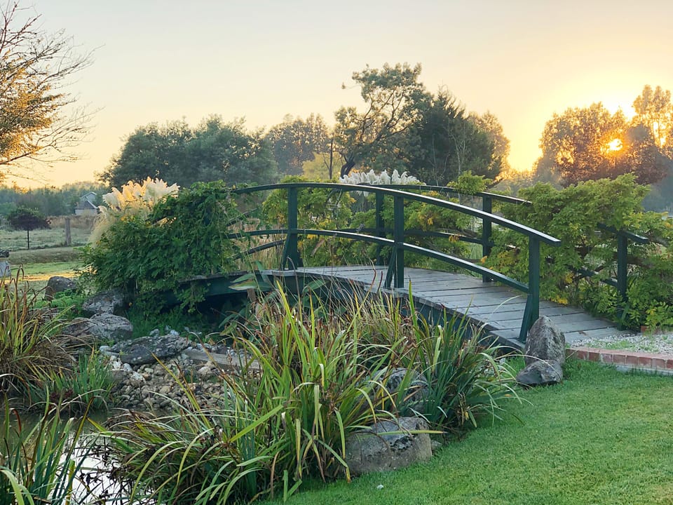 monet bridge over the ponds in our garden
