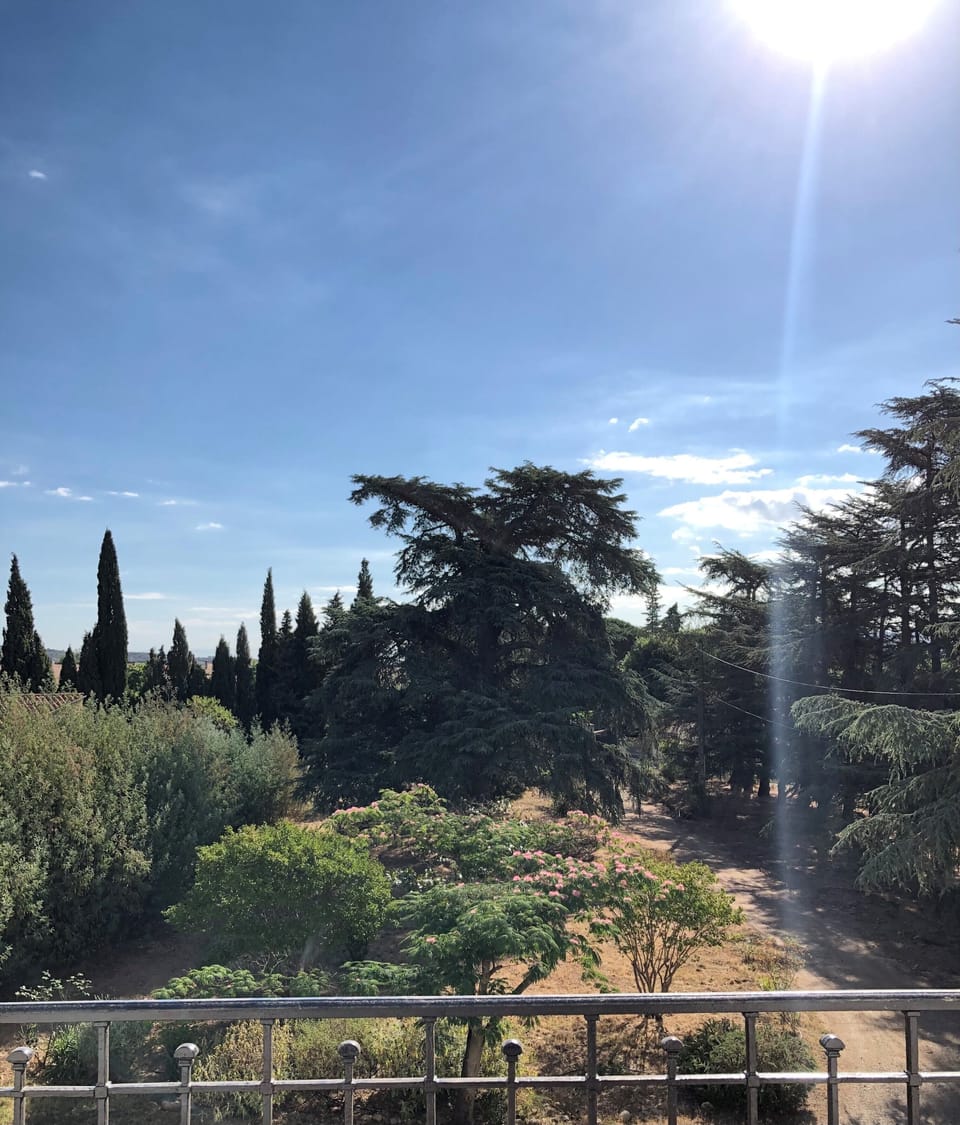 The cedar tree view from master bedroom balcony