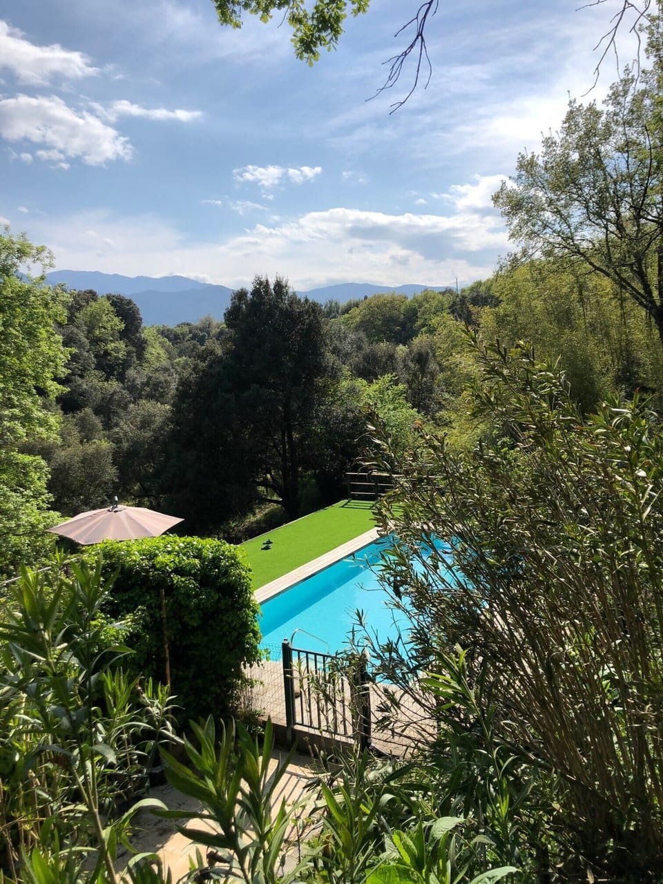 Pool area in the park, secluded and green hideaway