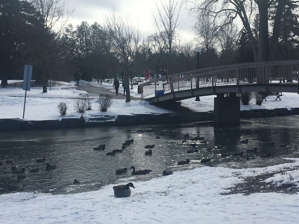 Take a stroll in Victoria Park