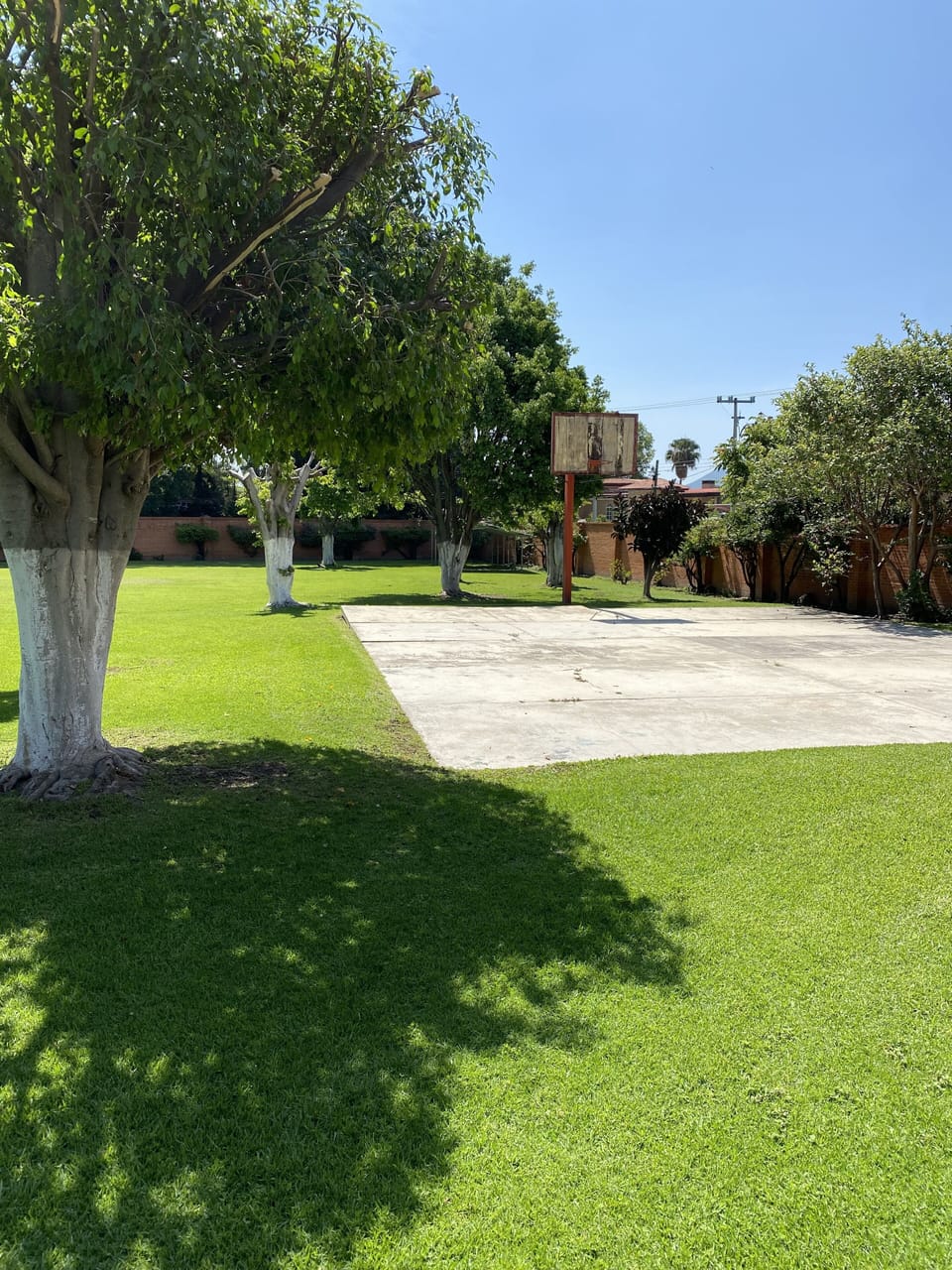Property grounds