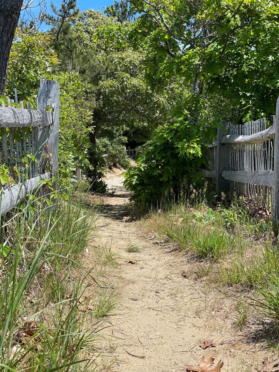 Path to the beach from the house