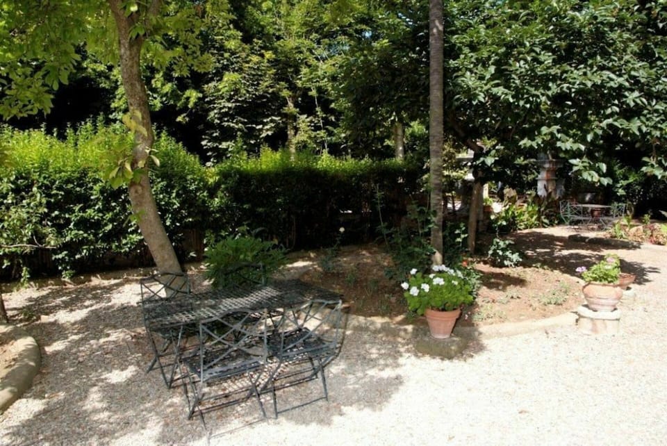 Plant, Plant Community, Vegetation, Tree, Flowerpot, Woody Plant, Outdoor Furniture, Shade, Groundcover, Shrub