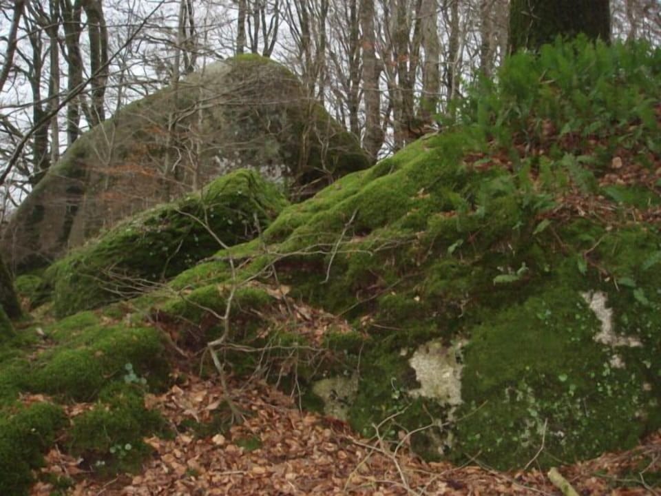 Devils Pulpit - local walk