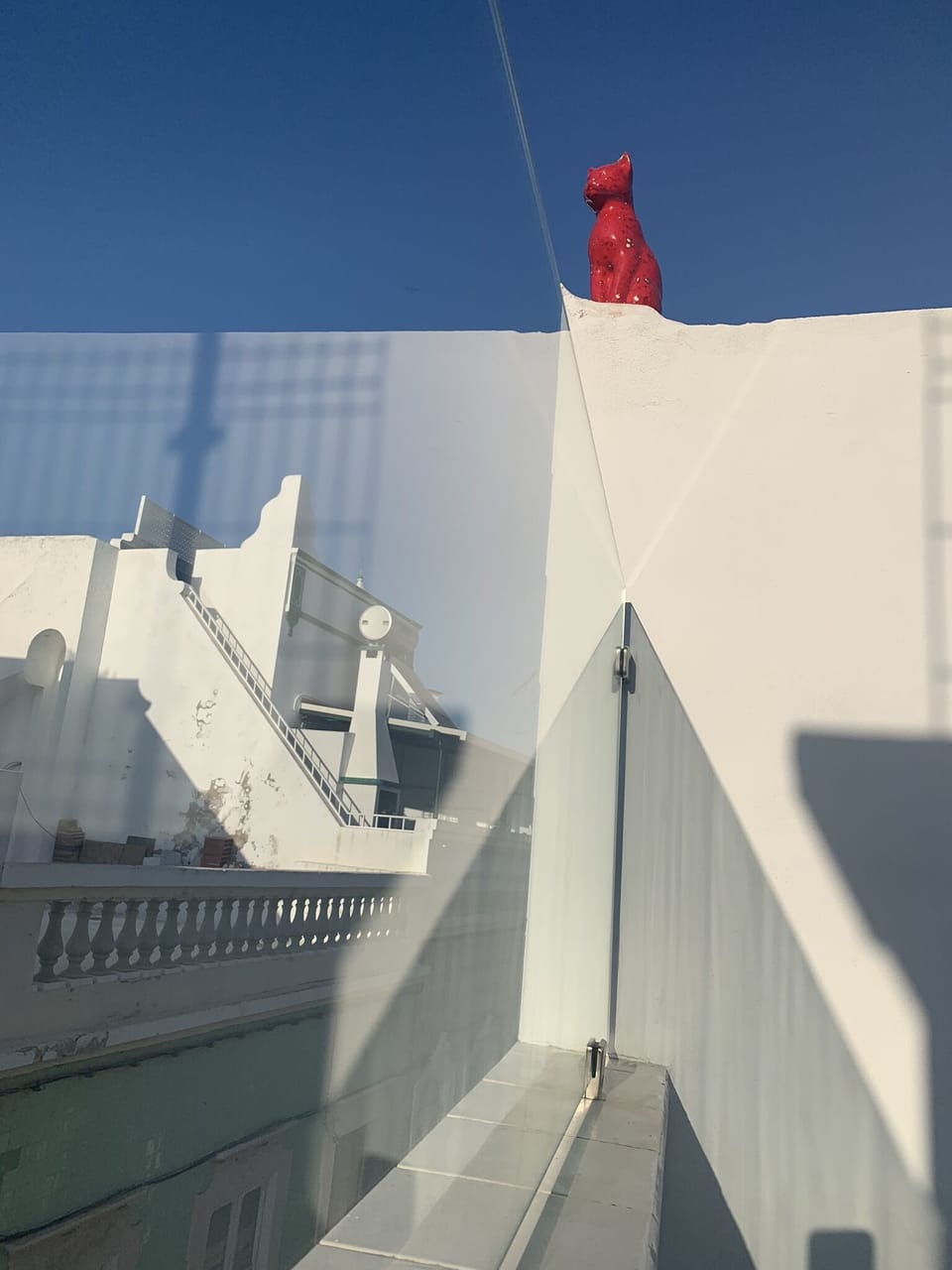 The Red Cat