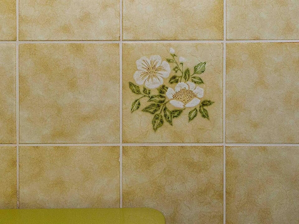Flower, Plant, Textile, Rectangle, Beige, Font, Pattern, Flooring, Symmetry