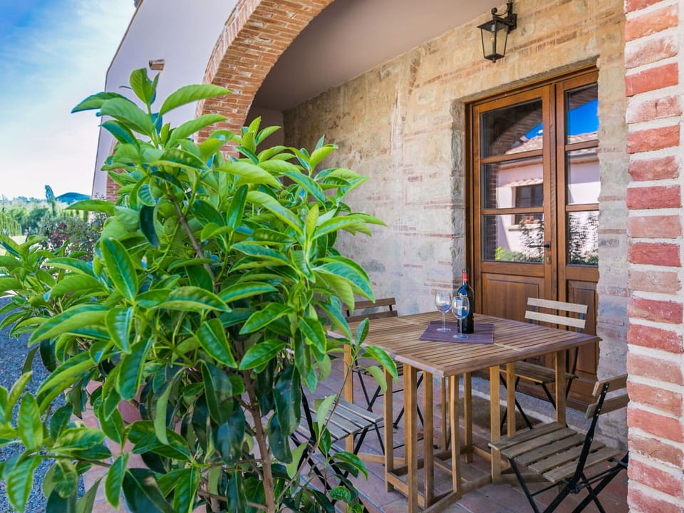 Plant, Property, Furniture, Table, Houseplant, Azure, Flowerpot, Chair, Window, Terrestrial Plant