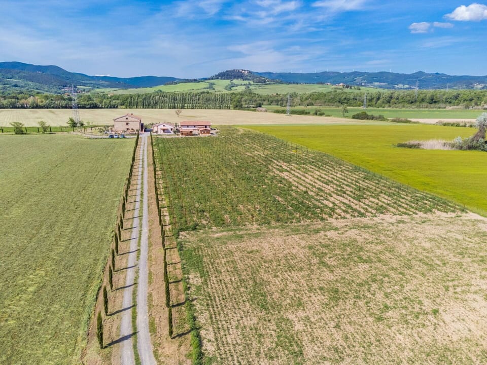 Cloud, Sky, Plant, Natural Environment, Natural Landscape, Land Lot, Slope, Grass, Agriculture, Grassland