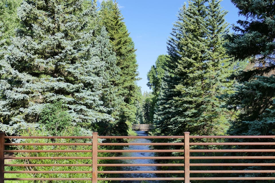 2.09-telluride-bear-creek-modern-4-river_from_bridge