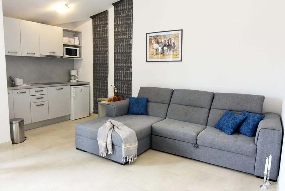 The living area with sofa bed and equipped kitchen