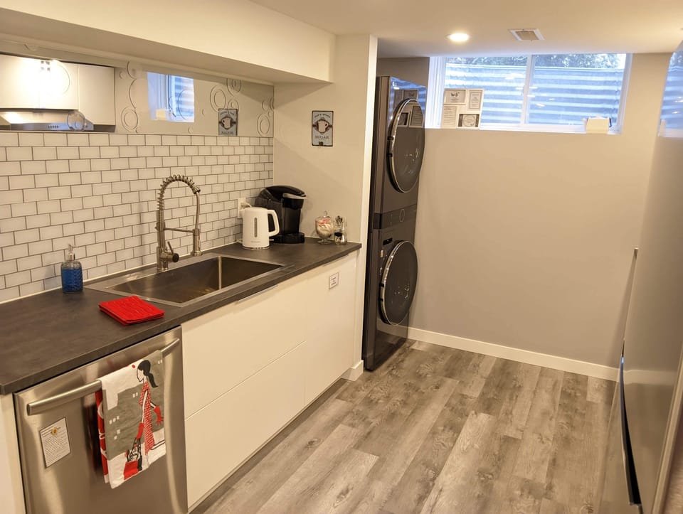 Handy large utility sink with pull down faucet