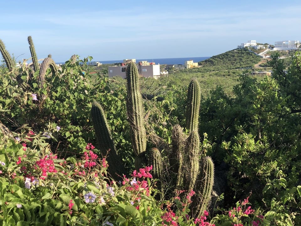 From Casa Leluya looking South