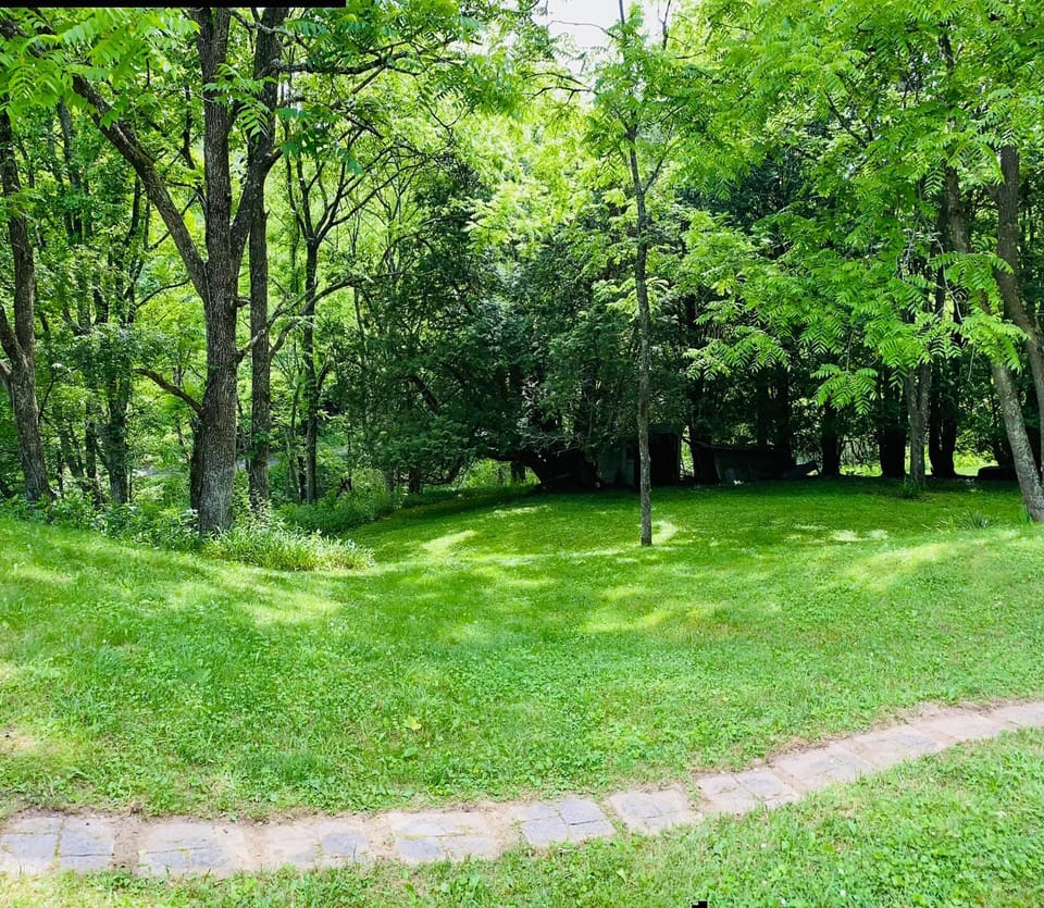 View of front yard