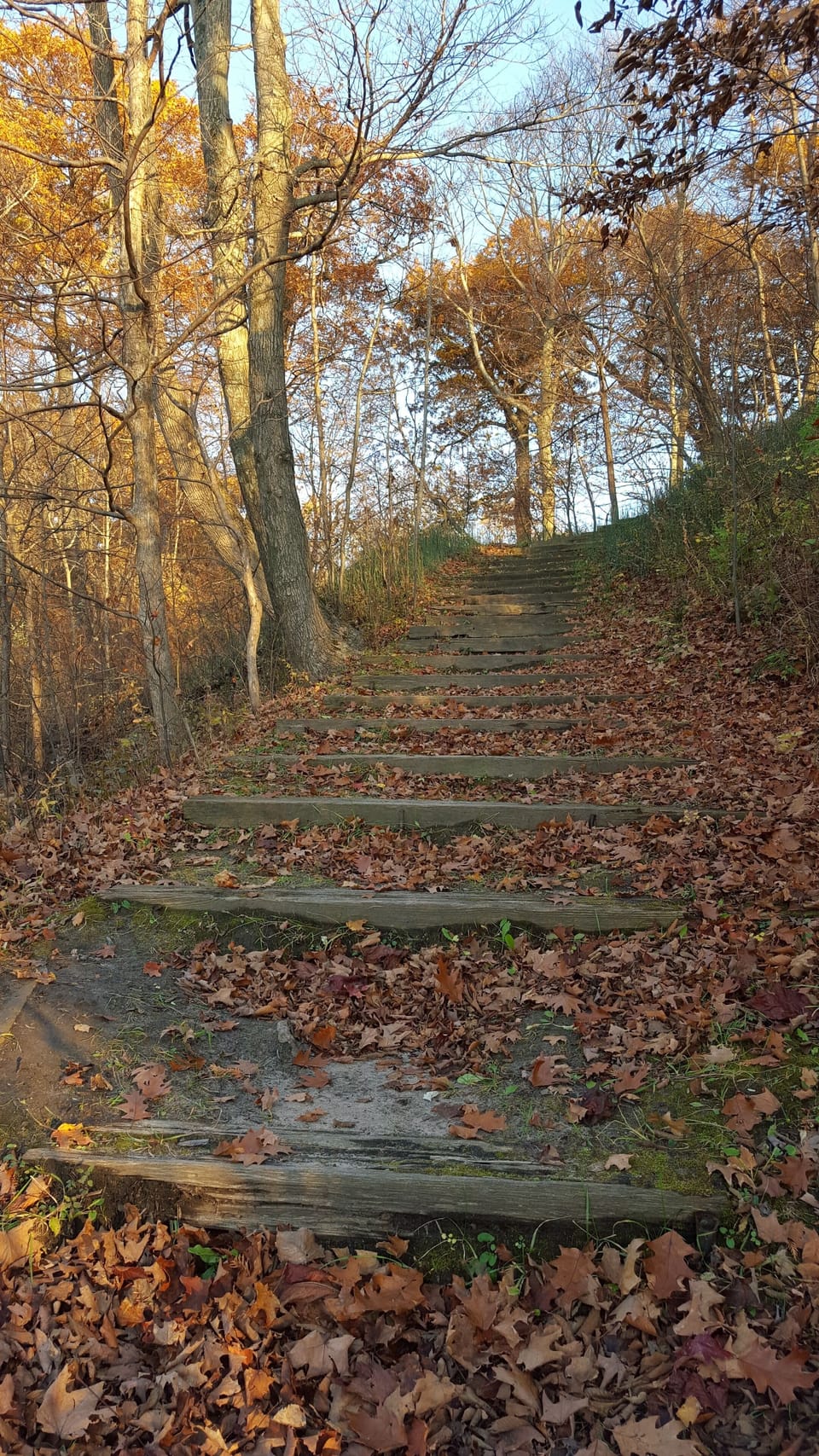 steps down to beach