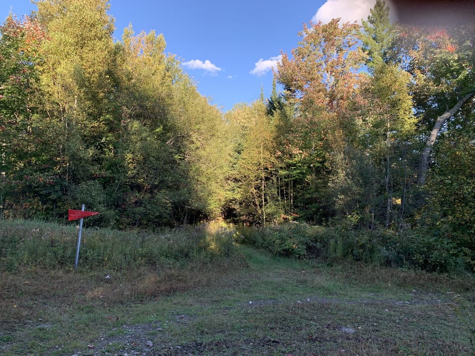 Coos Rd. Access path to Trail 7