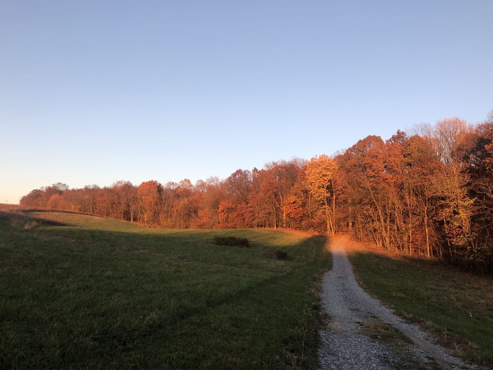 Access driveway 