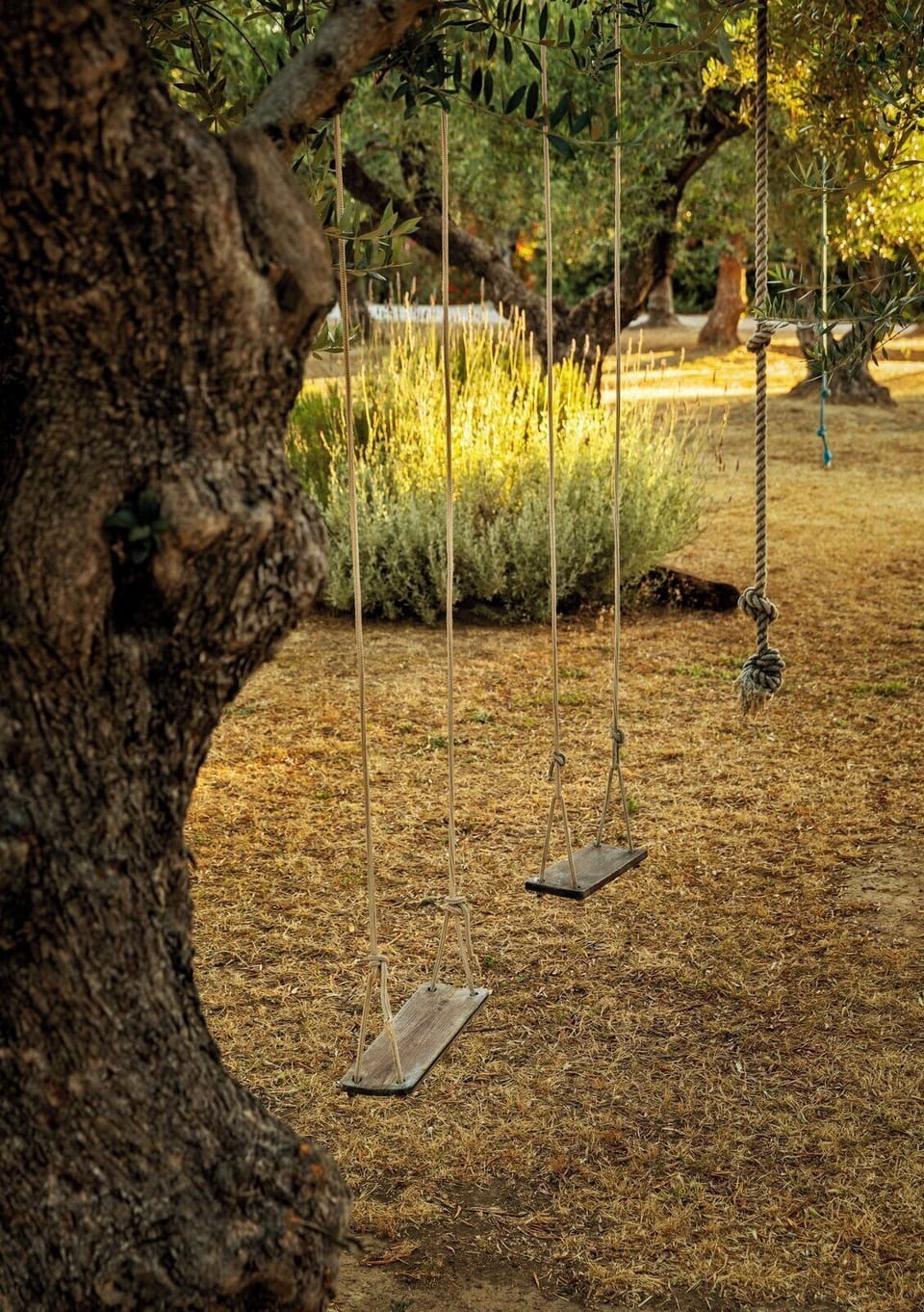 Playground with swings and climbing ropes.