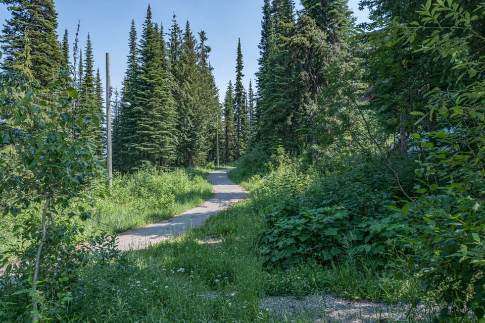Summer - Ride Right out Your Backyard,
Winter - Ski Right out Your Backyard!
