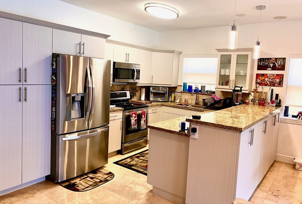 Fully stocked kitchen and appliances