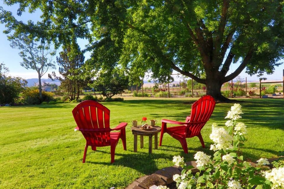 Relax and breathe in the fresh air