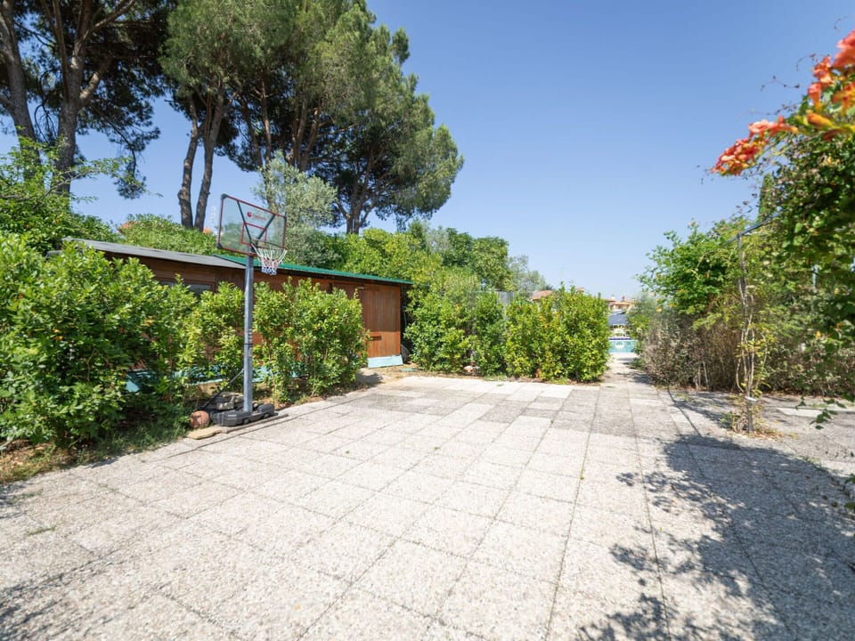Shade, Garden, Landscaping, Walkway, Flagstone, Driveway, Design, Path