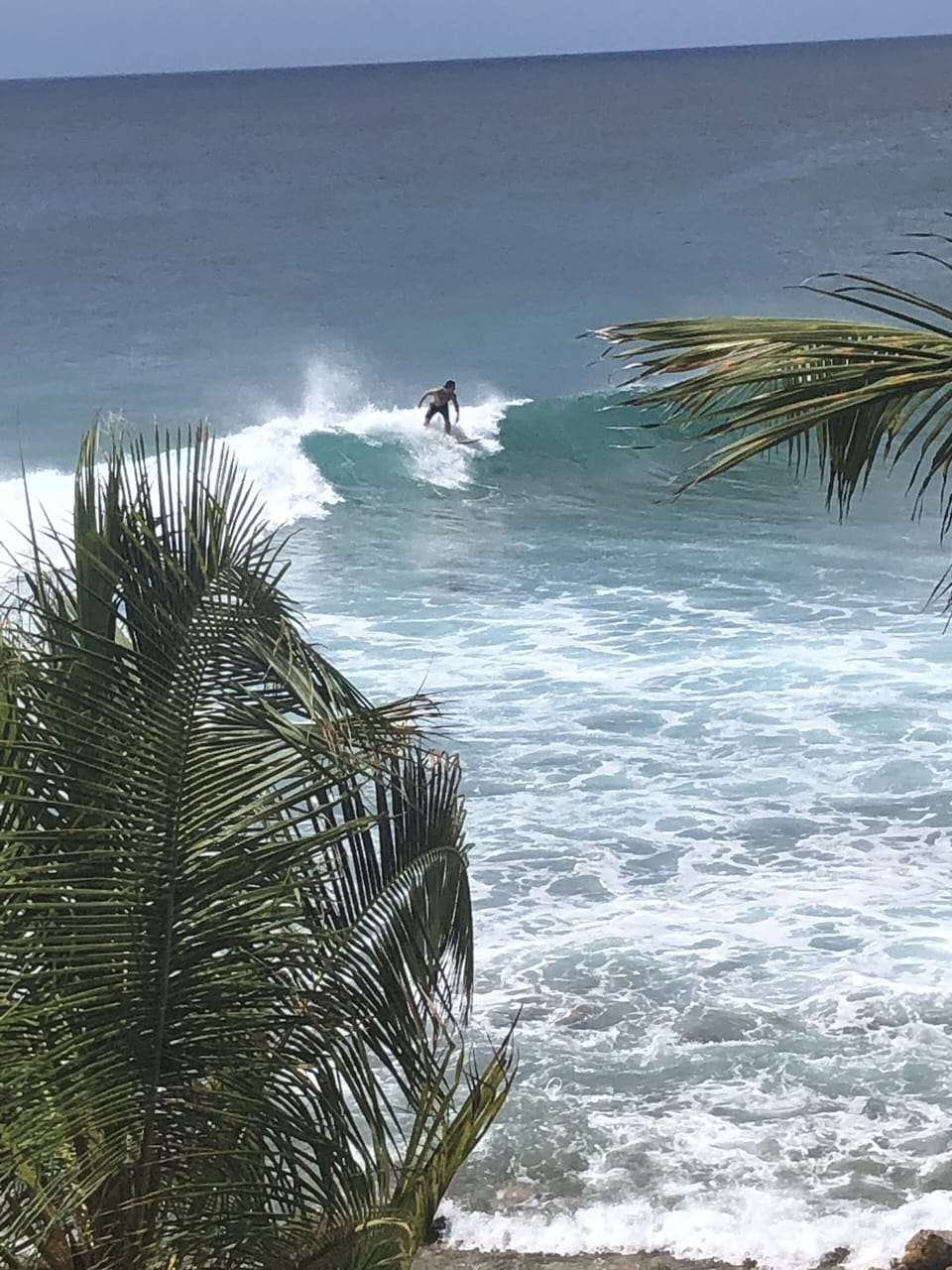Surfers surfing in front of the property