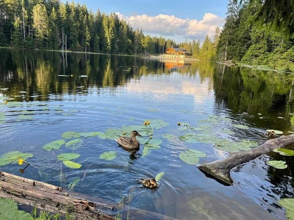 Lake